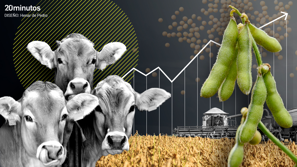 El 'efecto boomerang' de las contramedidas de Bruselas: el encarecimiento de la soja y de la almendra americana