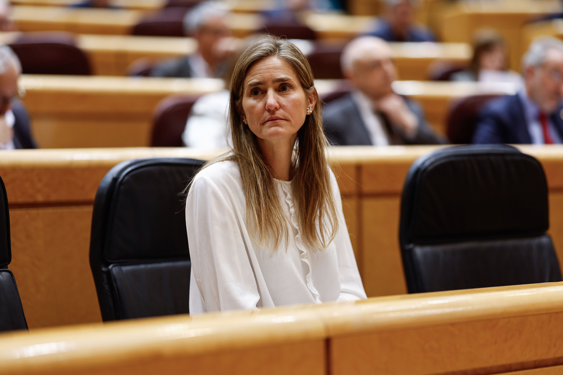 MADRID, 22/04/2025.- La ministra para la Transición Ecológica, Sara Aagesen, durante la sesión de control al Gobierno celebrada por el pleno del Senado, este martes en Madrid. EFE/ Rodrigo Jiménez