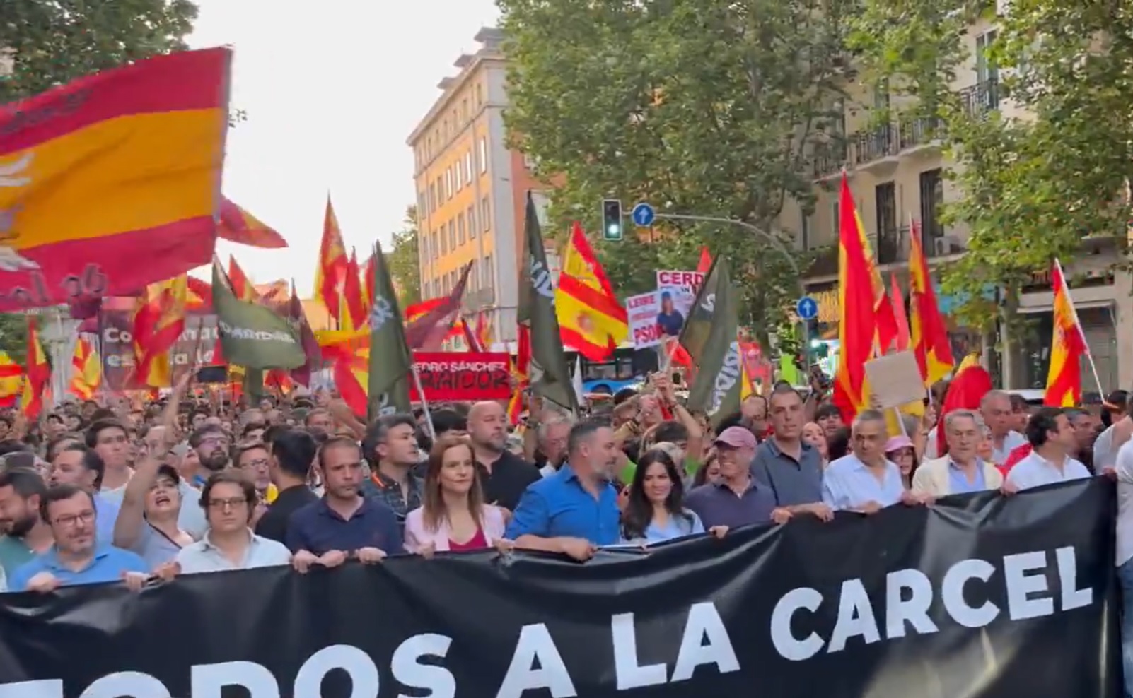 Imagen de la manifestación de Vox de este viernes.