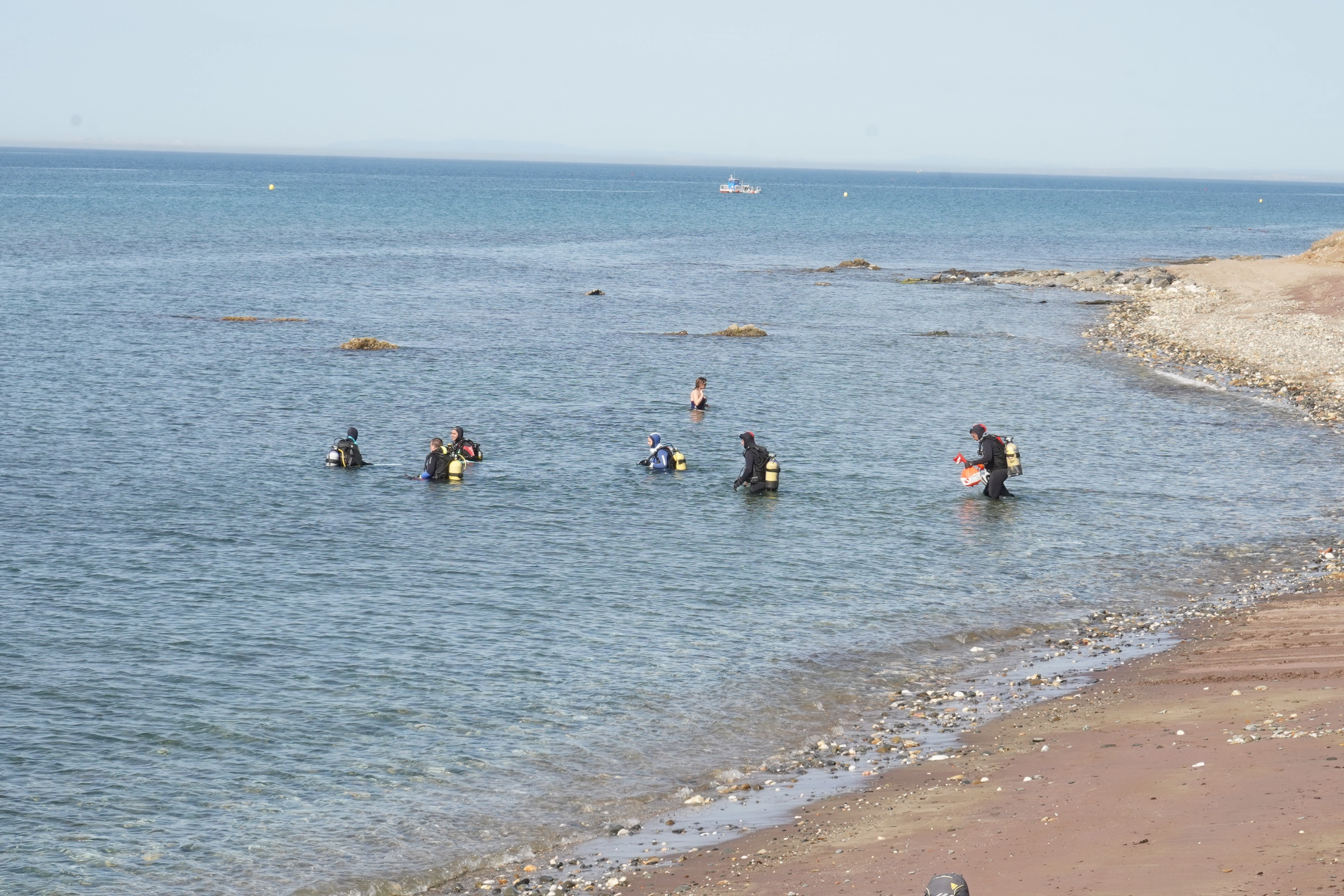 Submarinistas entrando en el mar para plantar esquejes de posidonia en la costa de Málaga.