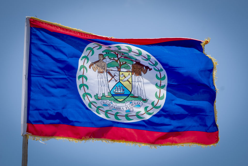 Um dos poucos com bonecas humanas, duas calhas de madeira de diferentes espécies ao redor de um escudo com uma árvore de mogno, com um fundo azul com listras vermelhas.