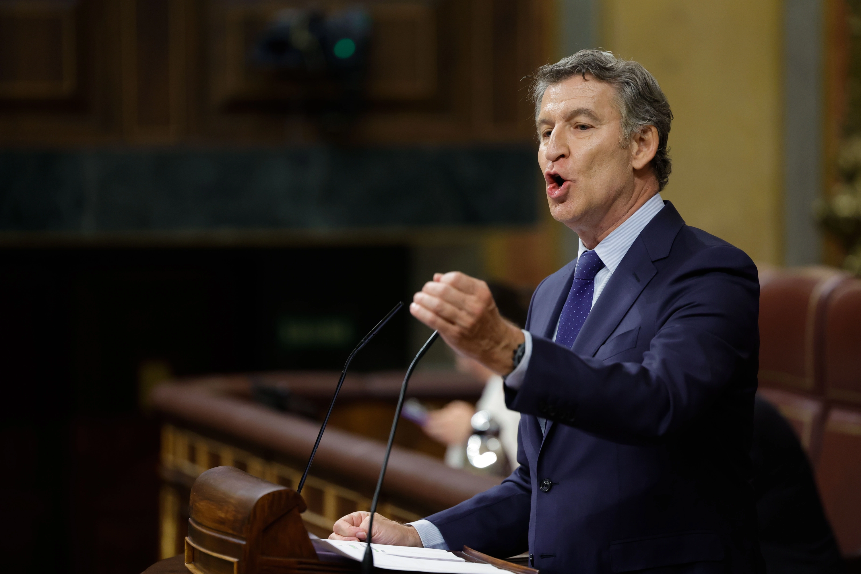 O presidente do PP, Alberto Neez Fijo, interveio durante o plenário no Congresso.