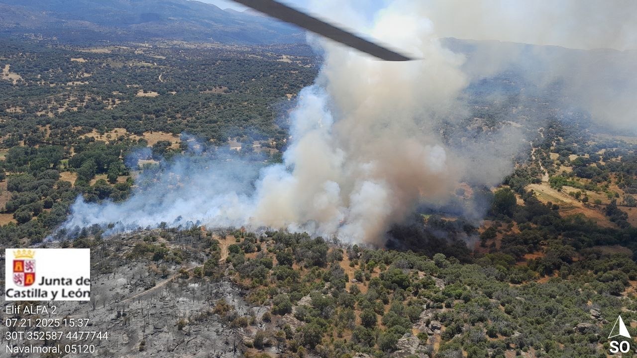Incendio forestal de Navaluenga (Ávila).