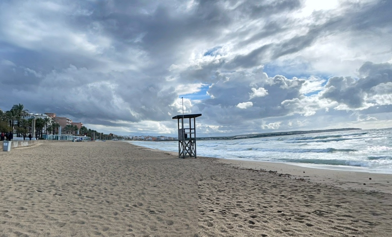 Tramo de la playa de Palma donde ha ocurrido el mordisco, frente al Balneario 06.
