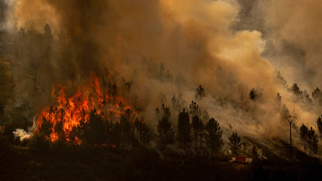 Diferentes imágenes de los incendios forestales activos en España.
