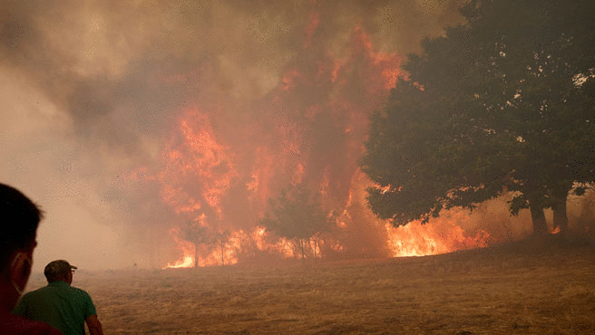 Imágenes de los incendios forestales que asolan el oeste de España.